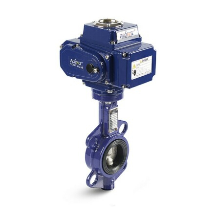 Ansi Butterfly Valve