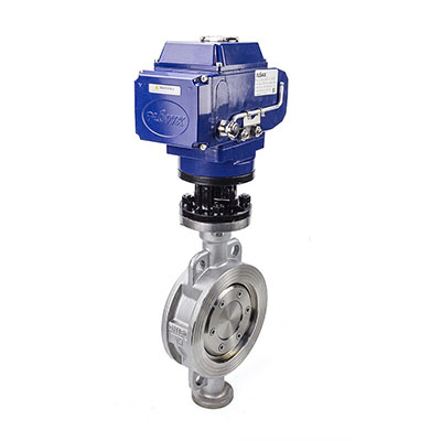 Emerson High-performance Butterfly Valves