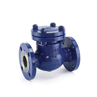 Swing Check Valve