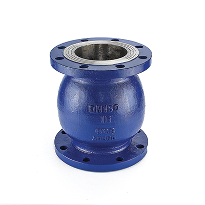 Stainless Steel Flange Check Valve