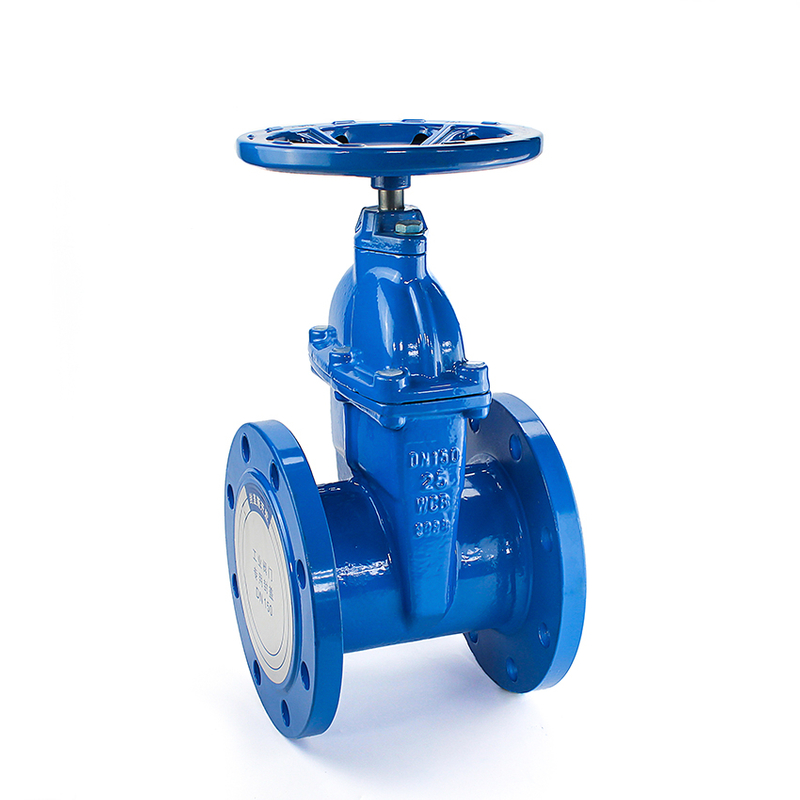 Gate Valve