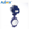 Butterfly Valve Manufacturers in Italy